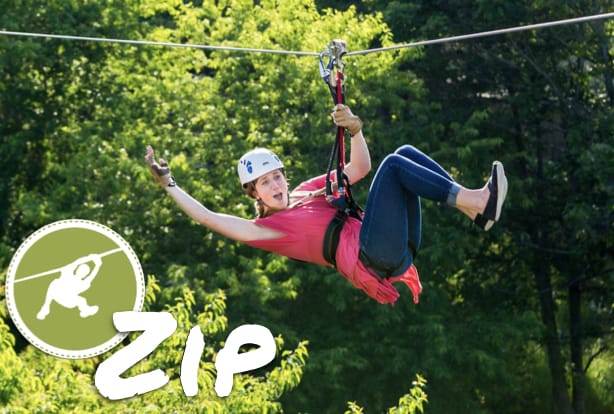 Zip-Image-Homepage.001 Zip-Image-Homepage.001