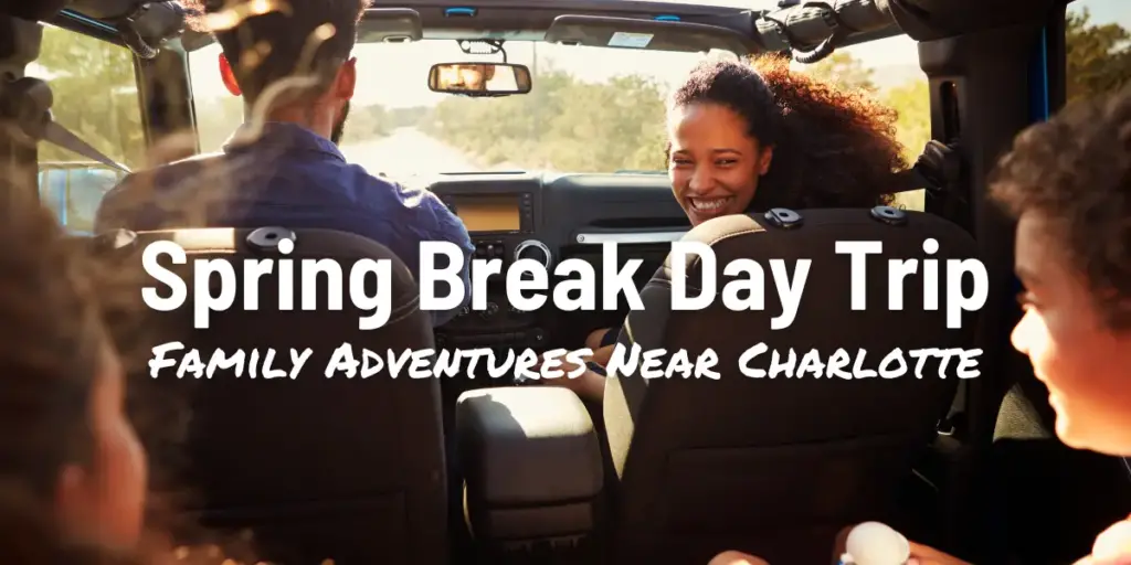 Spring break Trips for Families - Family smiling in car