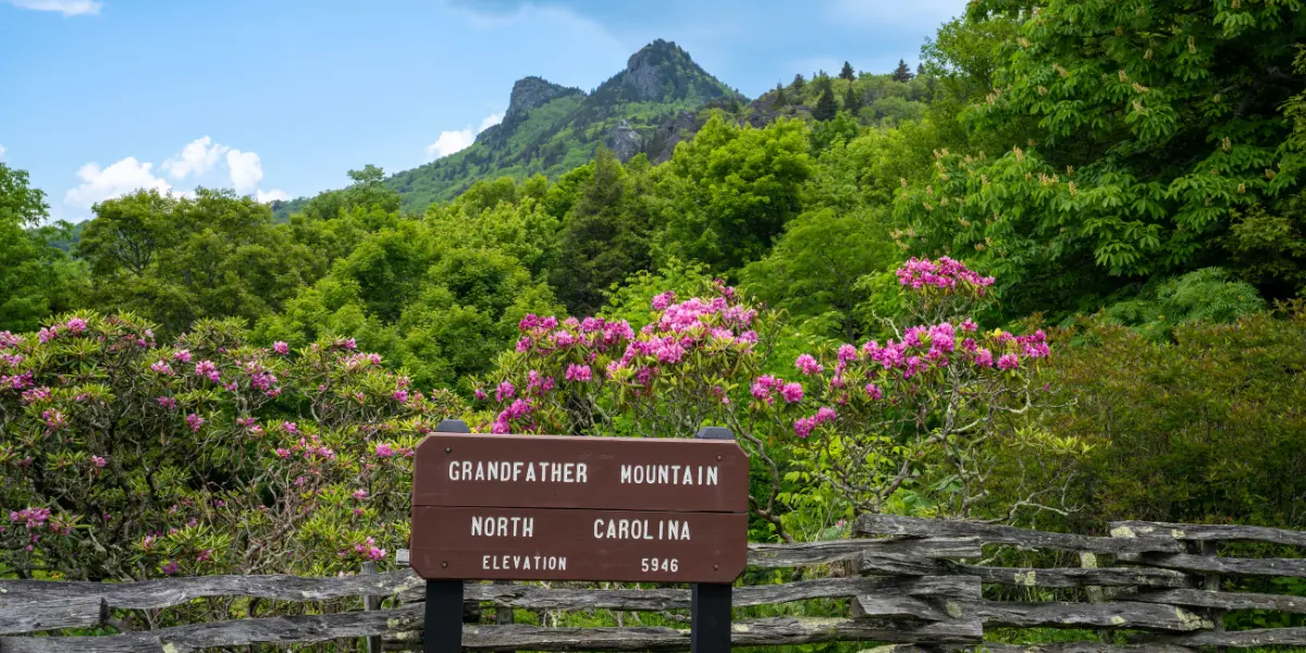 Grandfather Mountain Sign - High Gravity Adventures