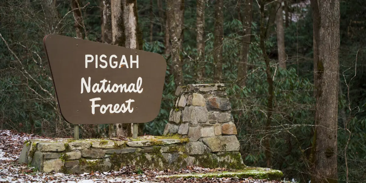 Pisgah National Forest Sign - High Gravity Adventures