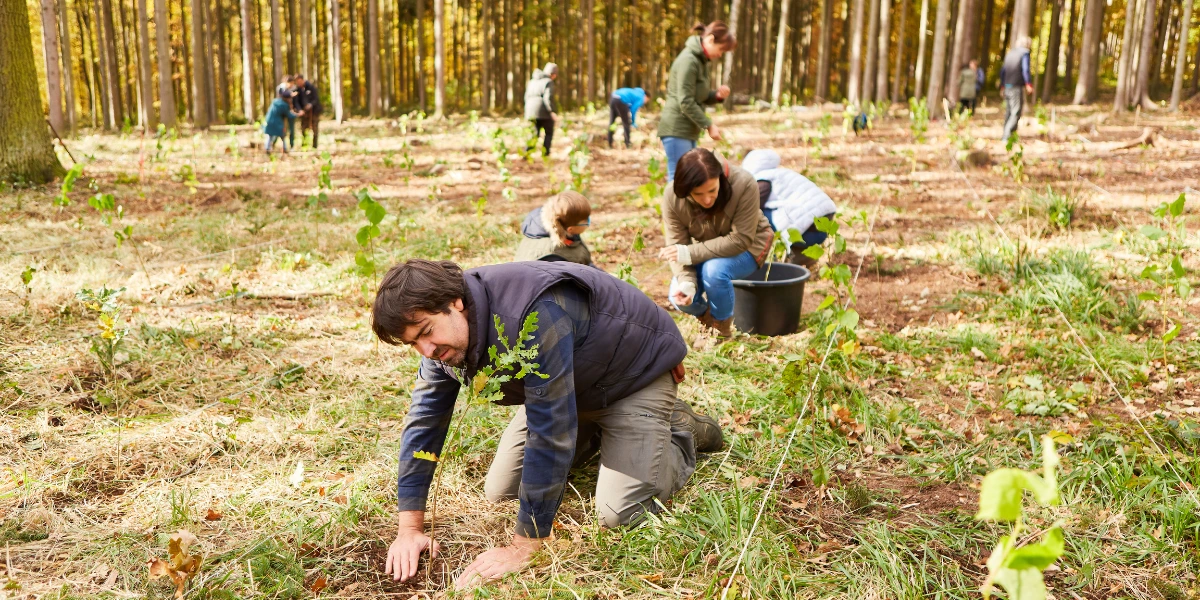 group of people planting trees as a outdoor team building activity