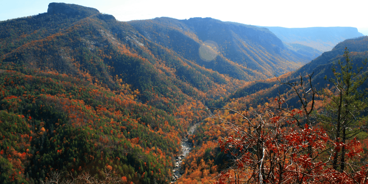high country leaf peeping