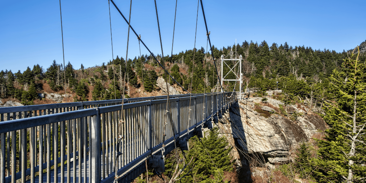 swinging bridge in woods