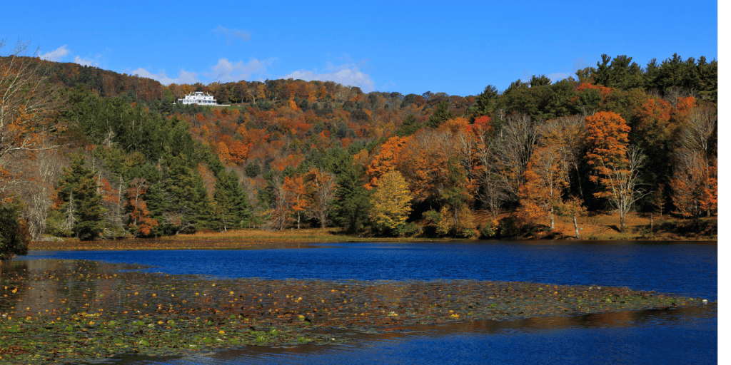 lake with colorful trees surrounding